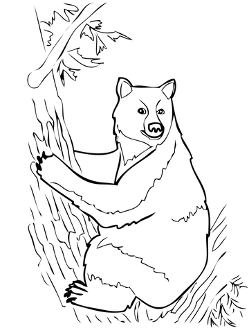 American Black Bear Sits On Tree Coloring Page